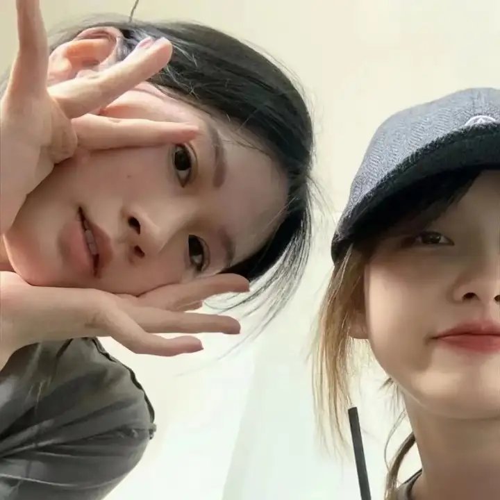 鸡同鸭讲